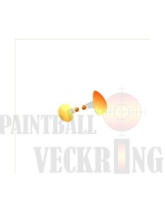 ANTI-DOPPELFEED-IONEN