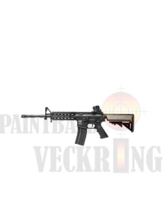 AEG G&G CM16 RAIDER BLACK 1J